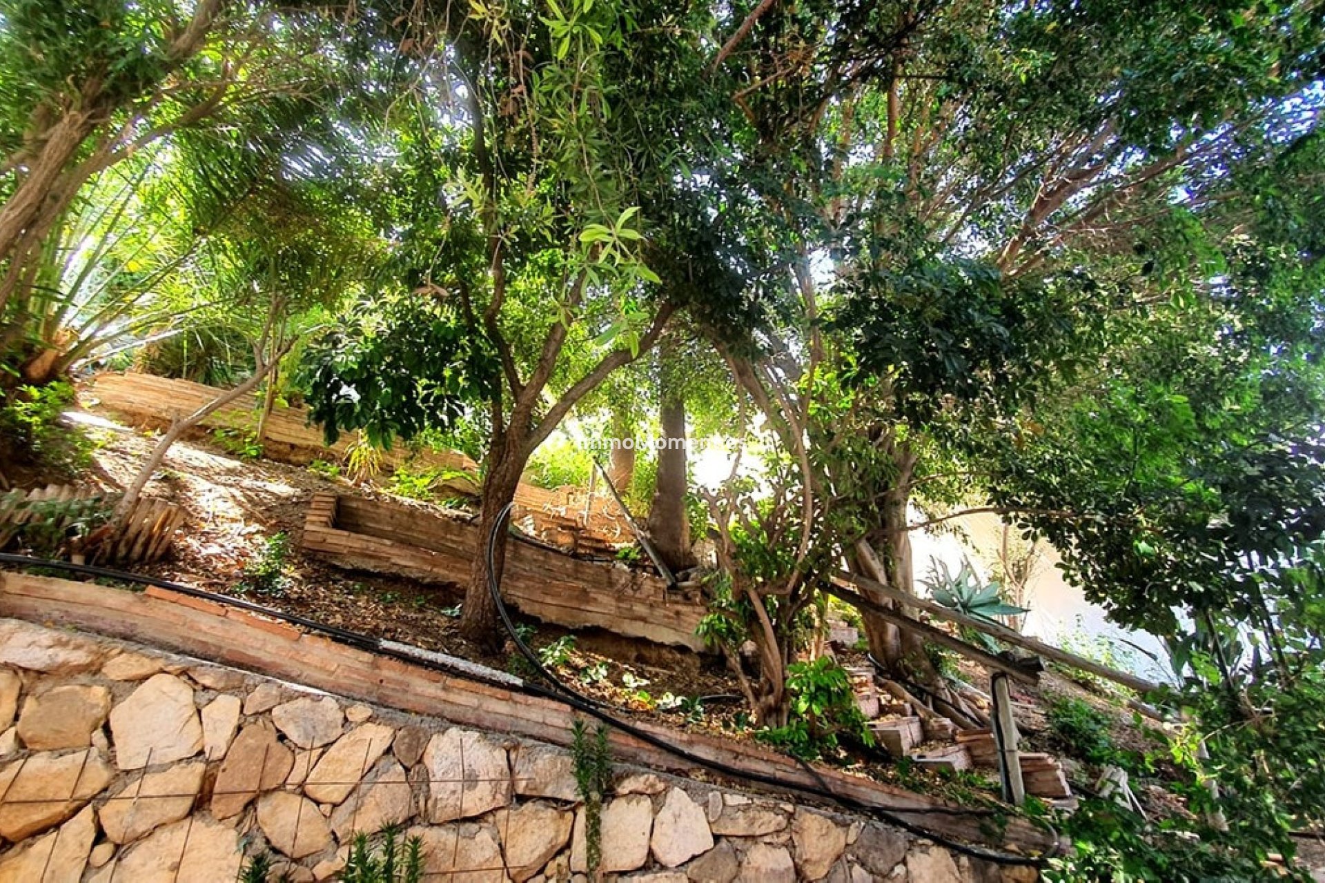 Wiederverkauf - Freistehende Villa - Fuengirola - Fuengirola Centro