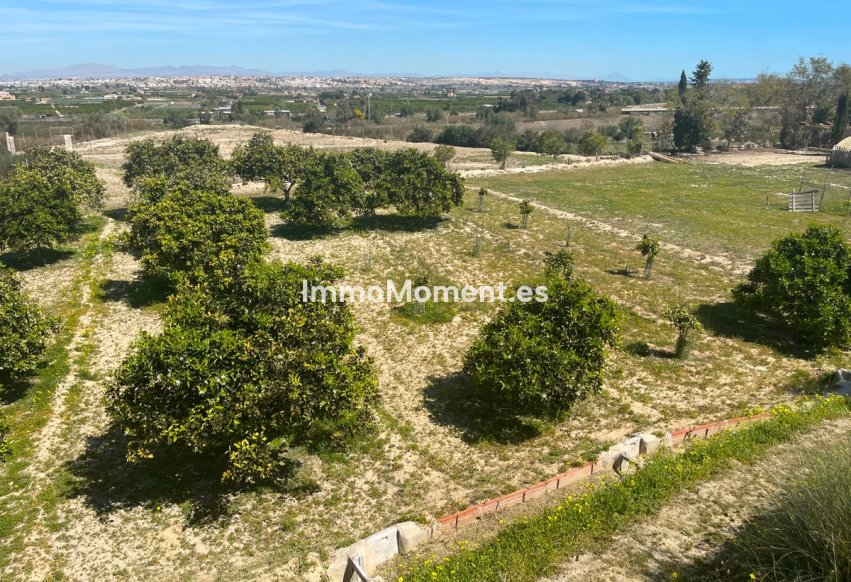 Wiederverkauf - Freistehende Villa - Guardamar del Segura - Guardamar del Segura Centro