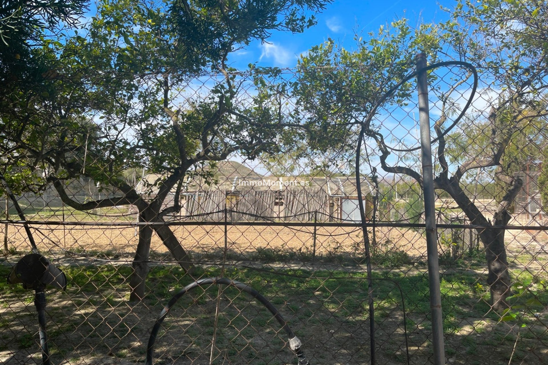 Wiederverkauf - Freistehende Villa - Guardamar del Segura - Guardamar del Segura Centro