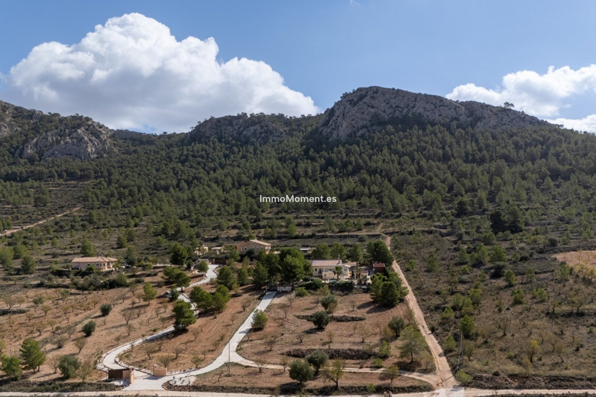Wiederverkauf - Freistehende Villa - Jumilla - La Zarza