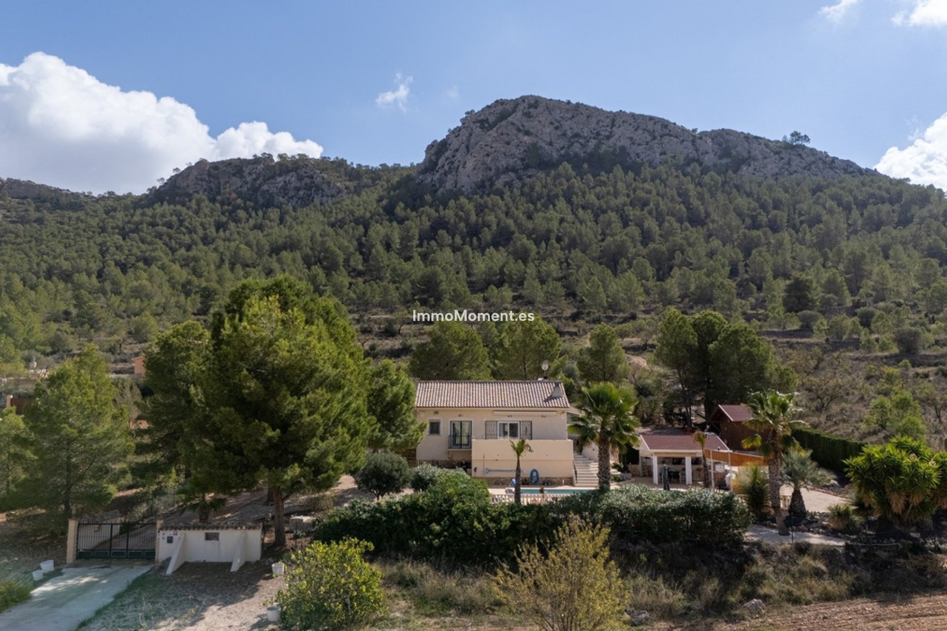 Wiederverkauf - Freistehende Villa - Jumilla - La Zarza