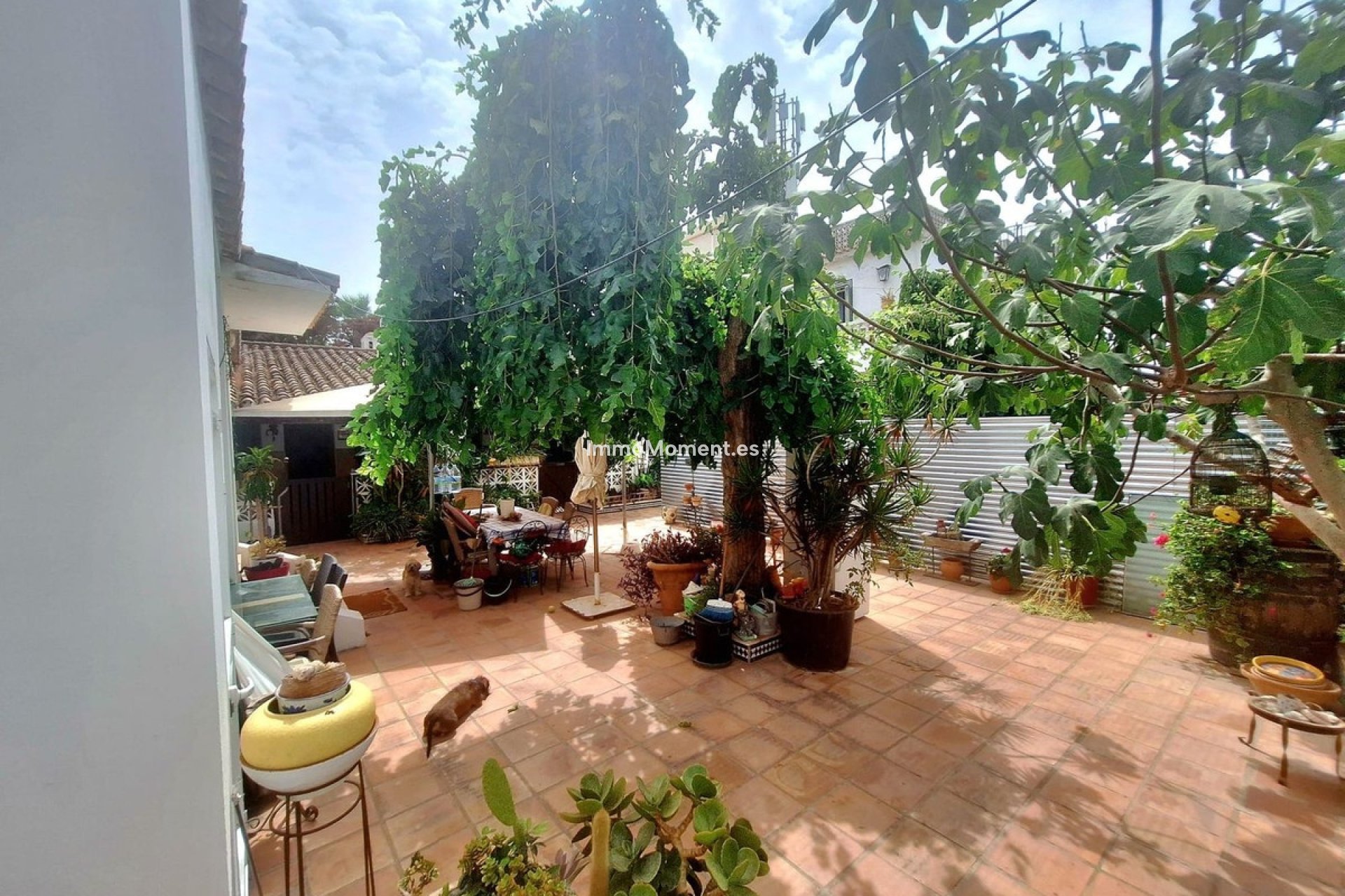Wiederverkauf - Freistehende Villa - Marbella - Costabella