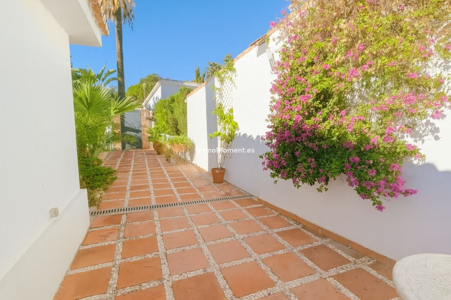 Wiederverkauf - Freistehende Villa - Marbella - El Rosario