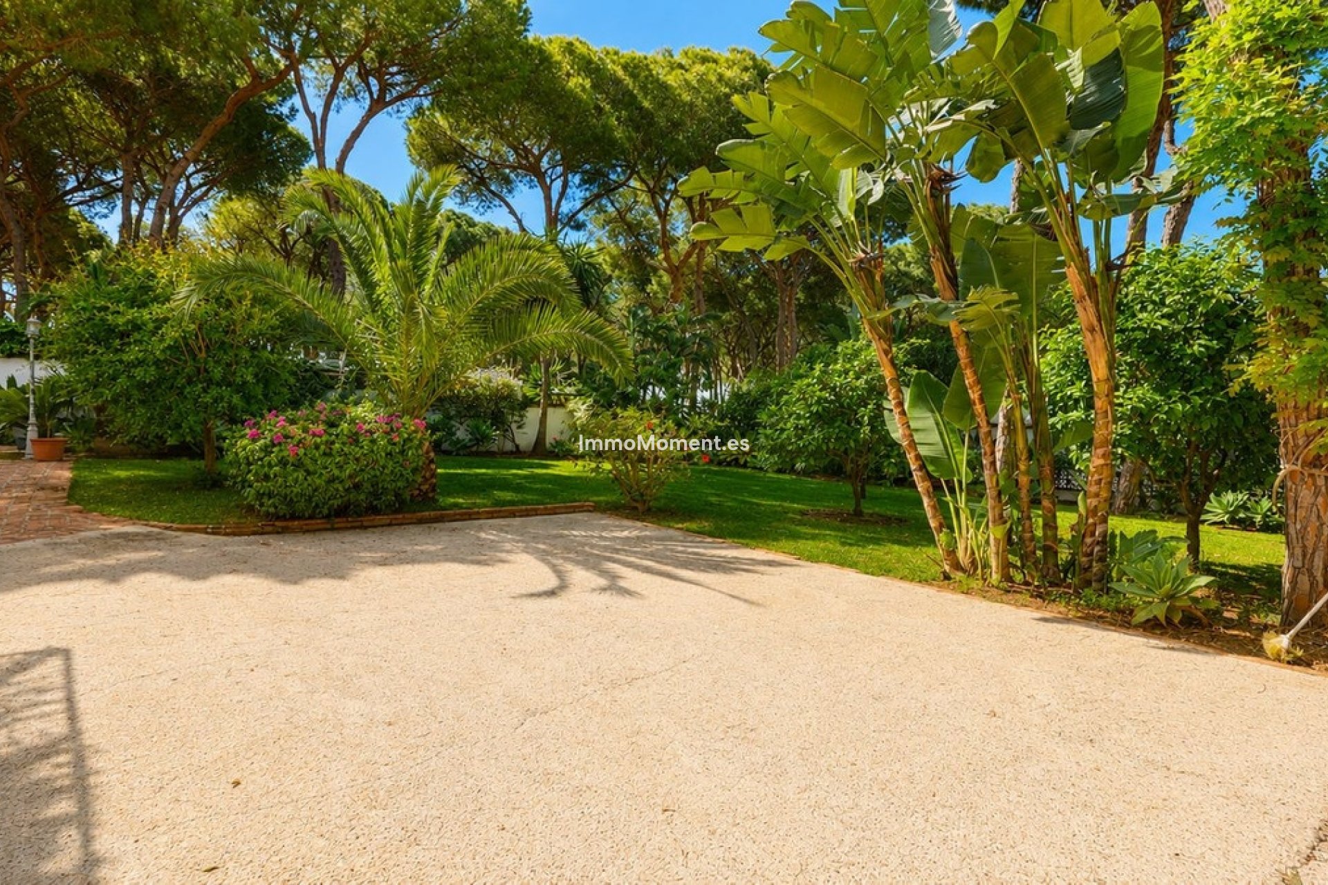 Wiederverkauf - Freistehende Villa - Marbella - El Rosario