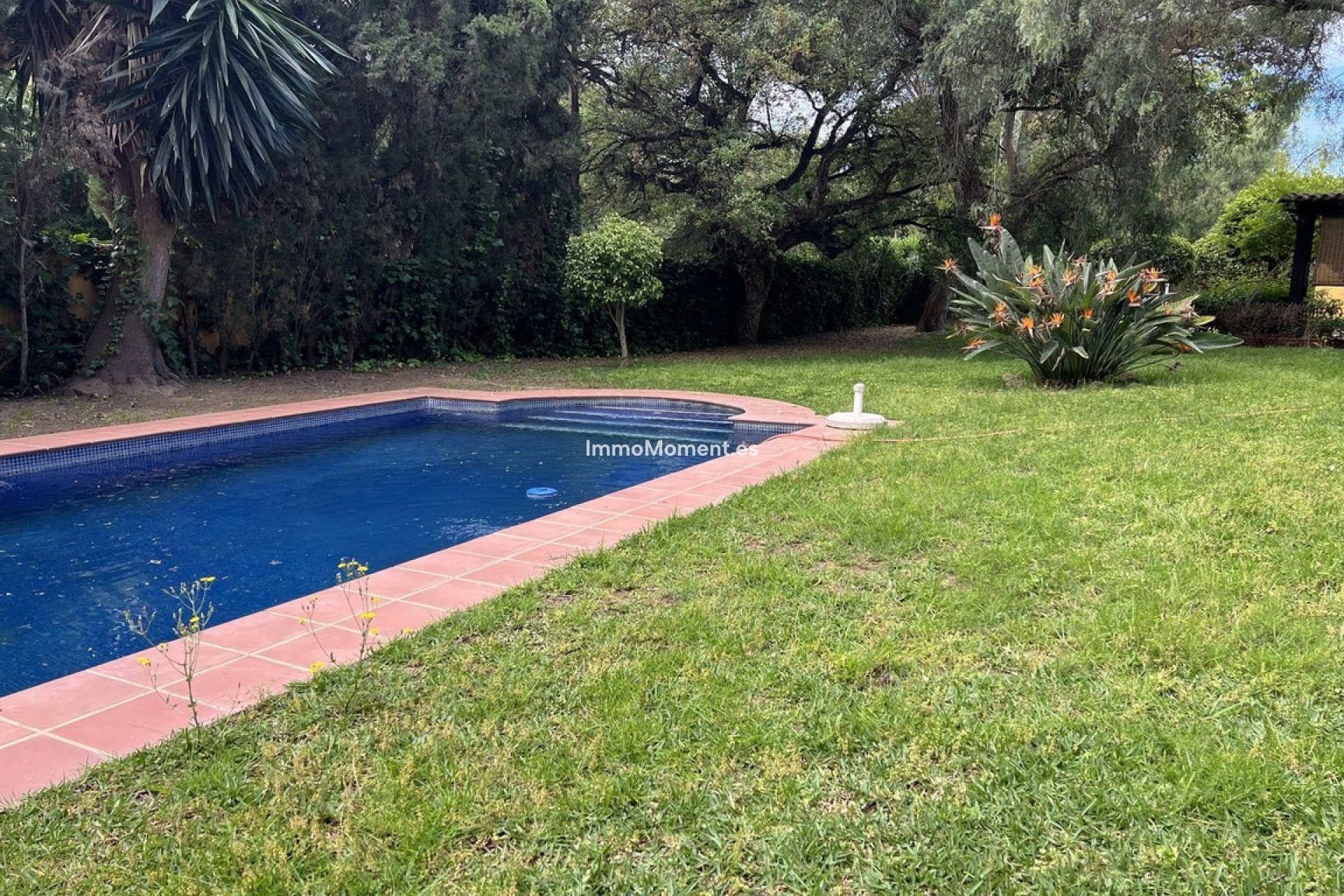 Wiederverkauf - Freistehende Villa - Marbella - El Rosario