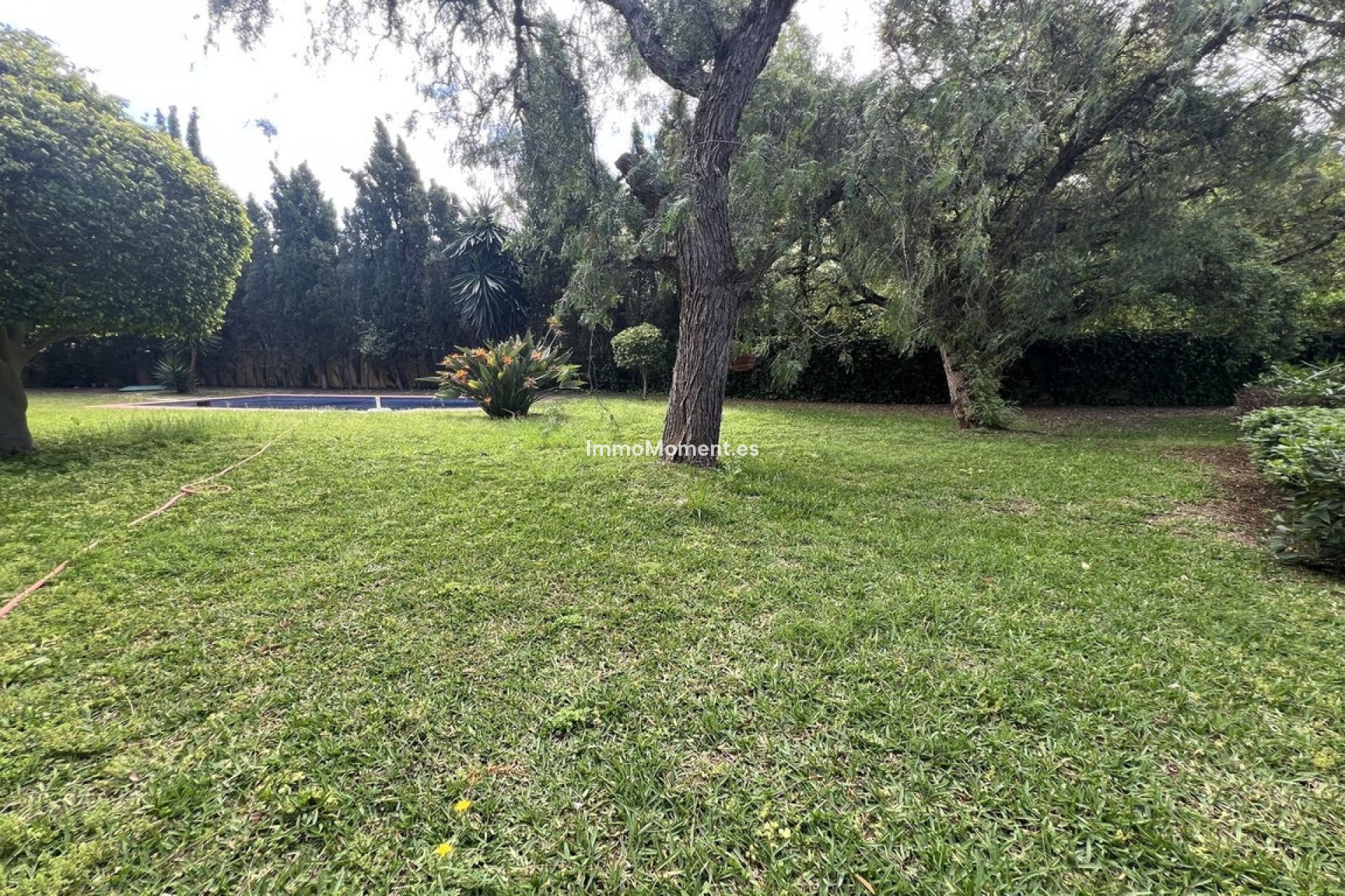 Wiederverkauf - Freistehende Villa - Marbella - El Rosario