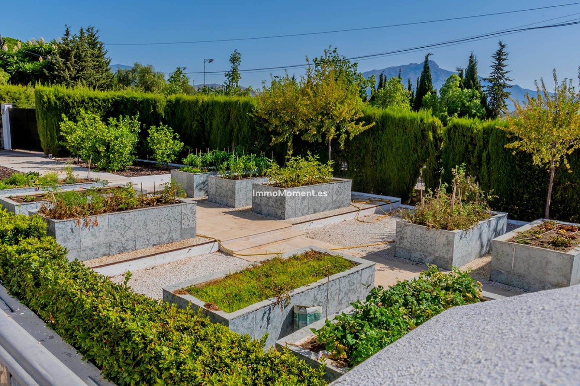 Wiederverkauf - Freistehende Villa - Marbella - Guadalmina Alta