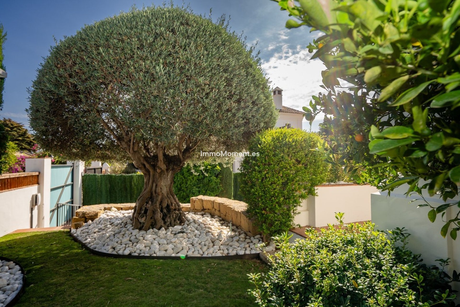 Wiederverkauf - Freistehende Villa - Marbella - Guadalmina Baja