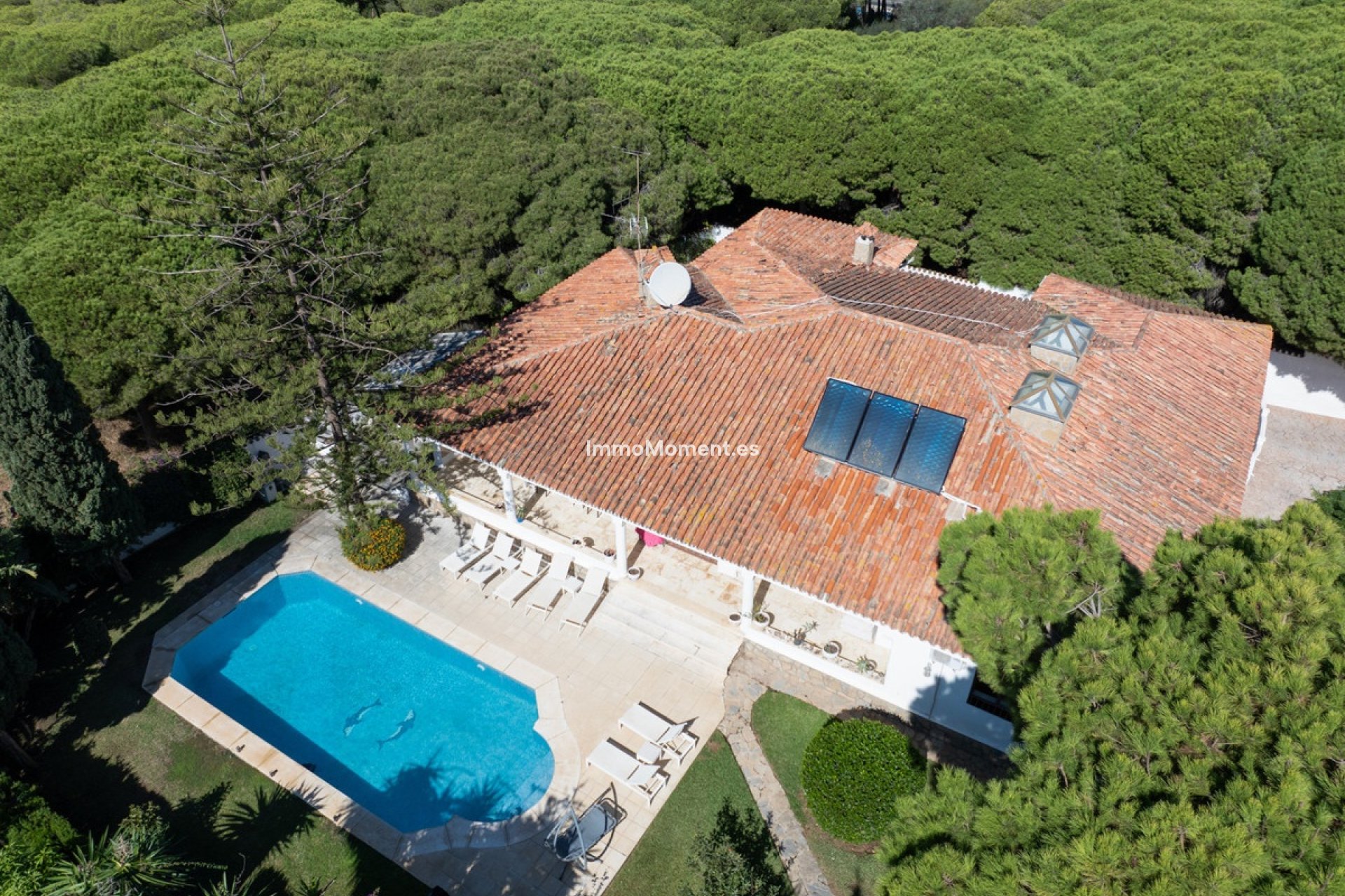 Wiederverkauf - Freistehende Villa - Marbella - Marbesa