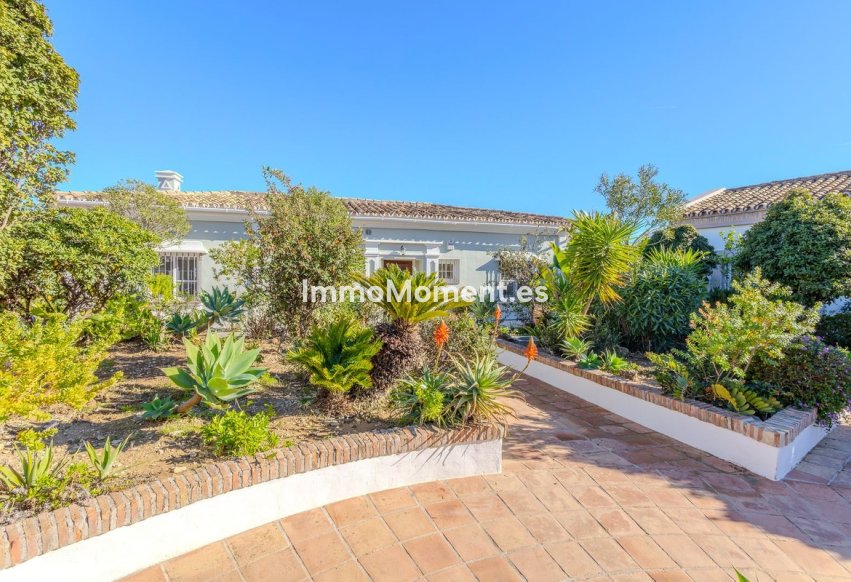 Wiederverkauf - Freistehende Villa - Marbella - Nueva Andalucía
