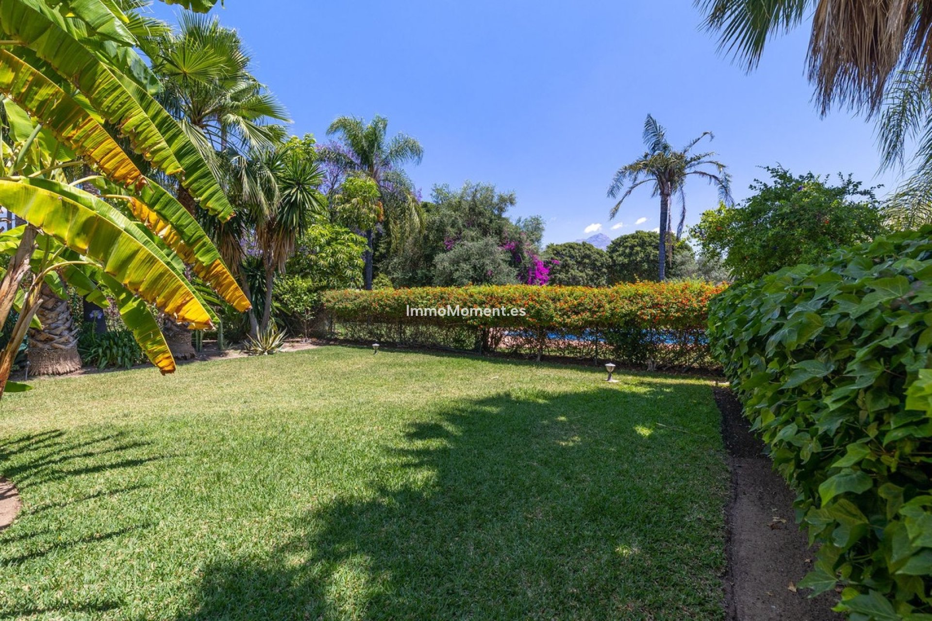 Wiederverkauf - Freistehende Villa - Marbella - Nueva Andalucía