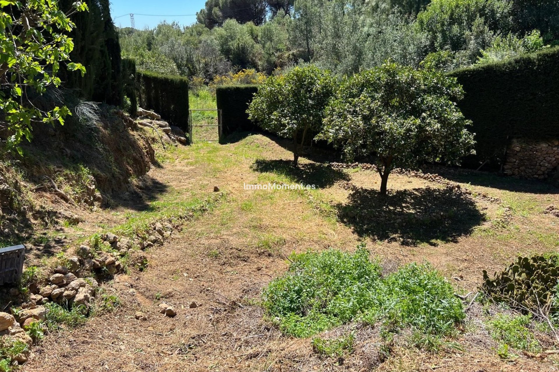 Wiederverkauf - Freistehende Villa - Mijas - Mijas Centro