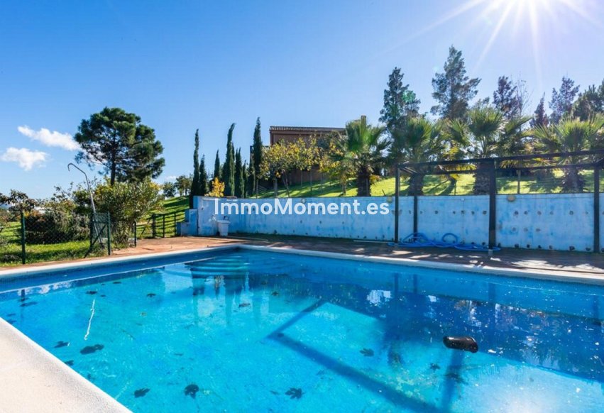 Wiederverkauf - Freistehende Villa - Mijas - Mijas Centro