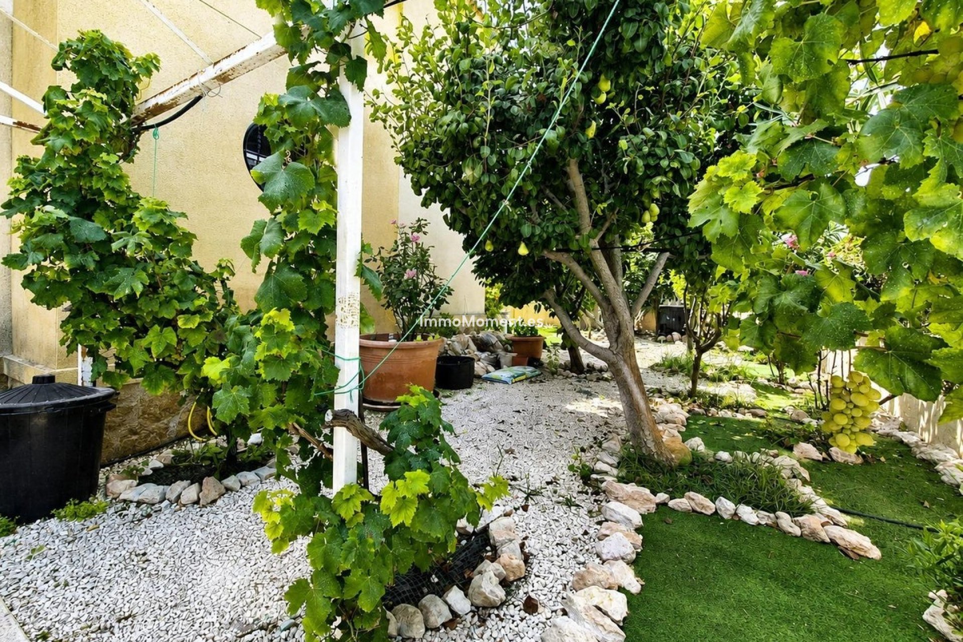 Wiederverkauf - Freistehende Villa - Orihuela - Cabo roig - La Zenia