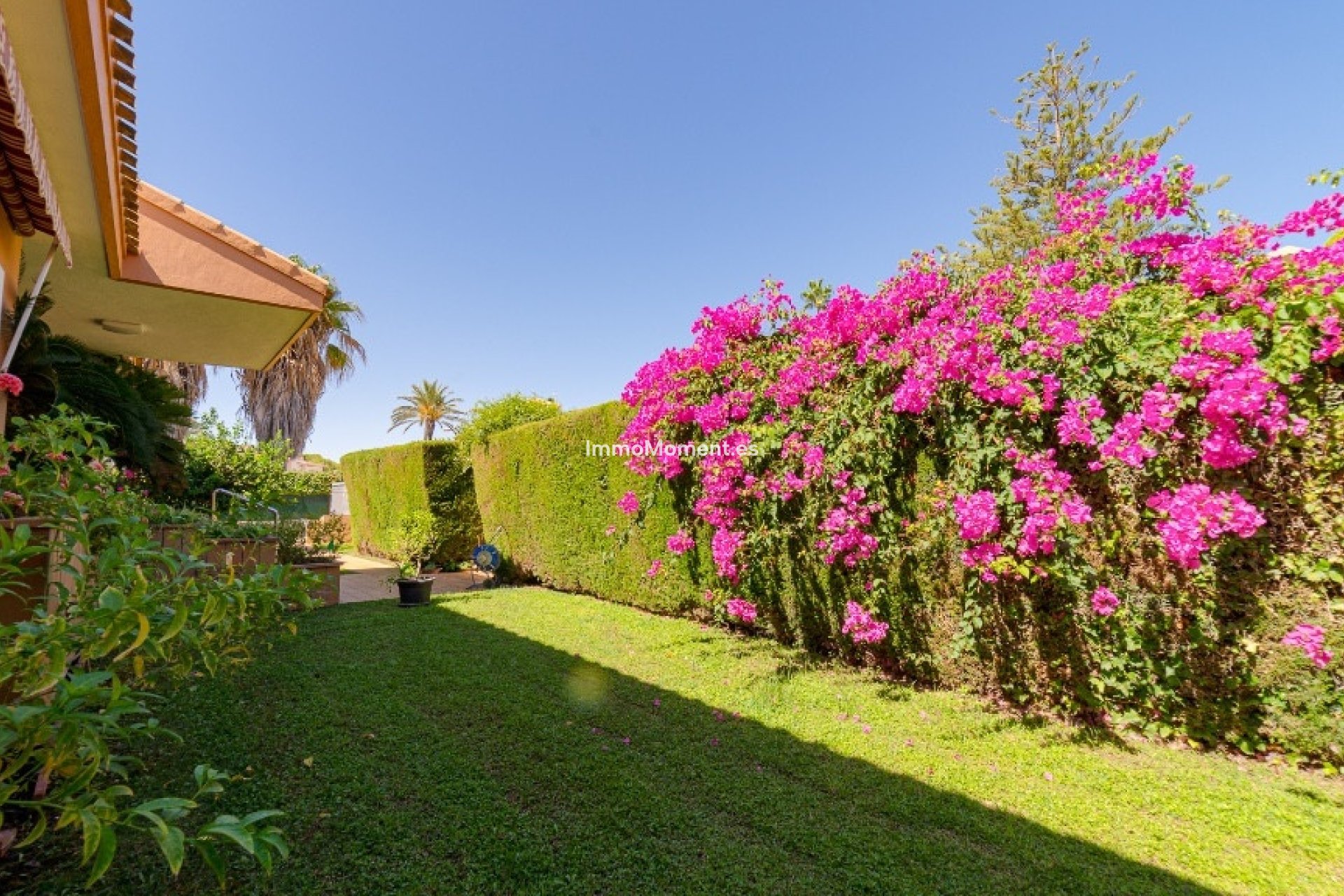 Wiederverkauf - Freistehende Villa - Orihuela - Campoamor