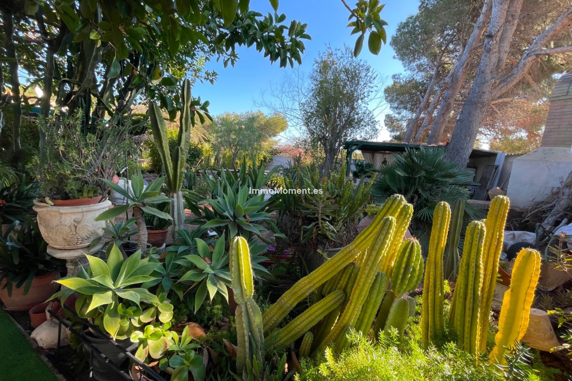 Wiederverkauf - Freistehende Villa - Orihuela - Lomas de Cabo Roig