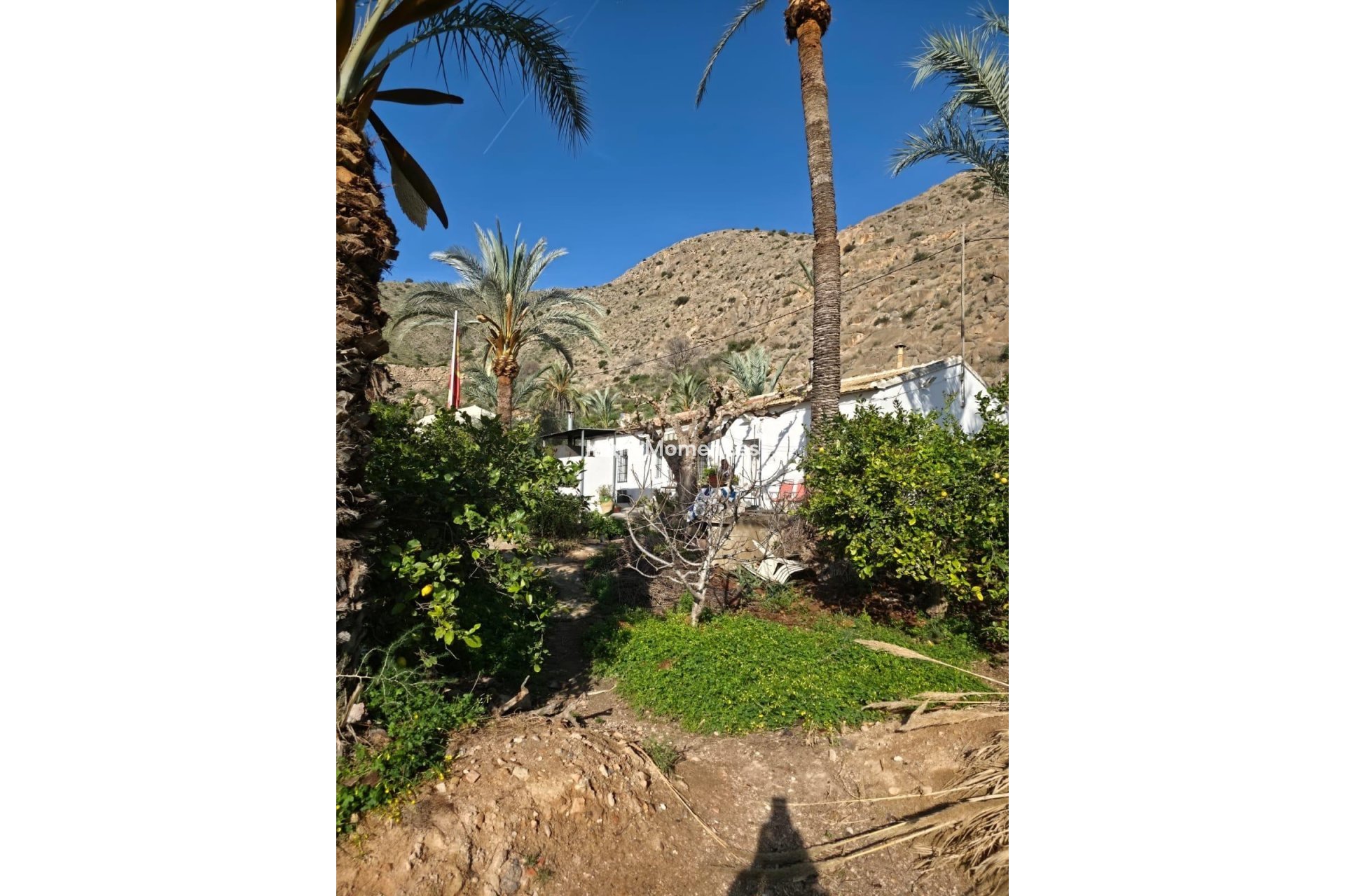 Wiederverkauf - Freistehende Villa - Orihuela - Orihuela Centro