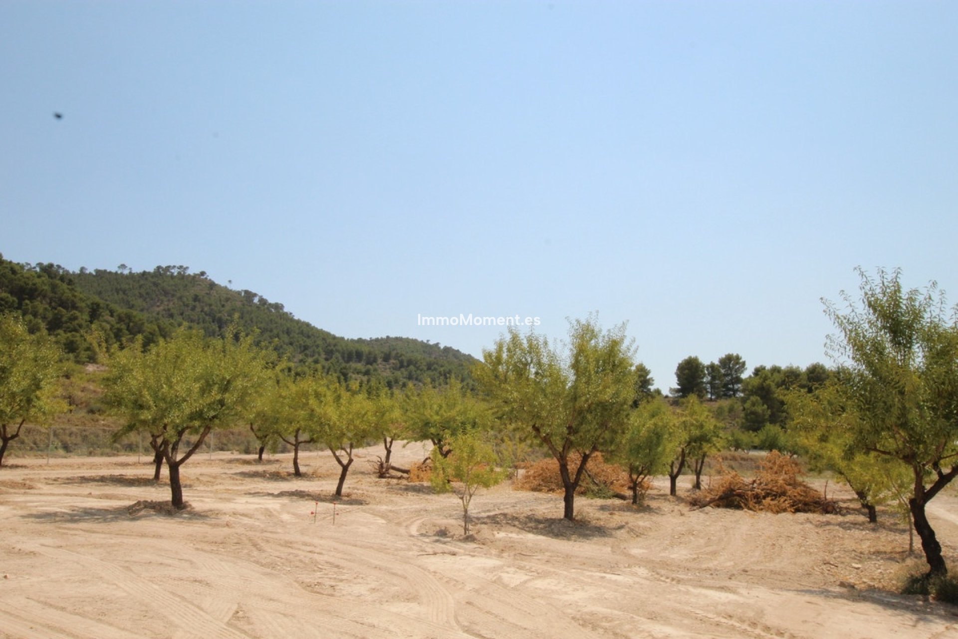 Wiederverkauf - Freistehende Villa - Pinoso - Pinoso Centro