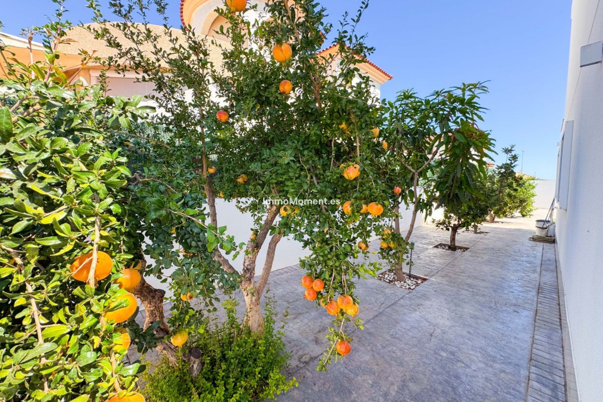 Wiederverkauf - Freistehende Villa - San Fulgencio - San Fulgencio Centro