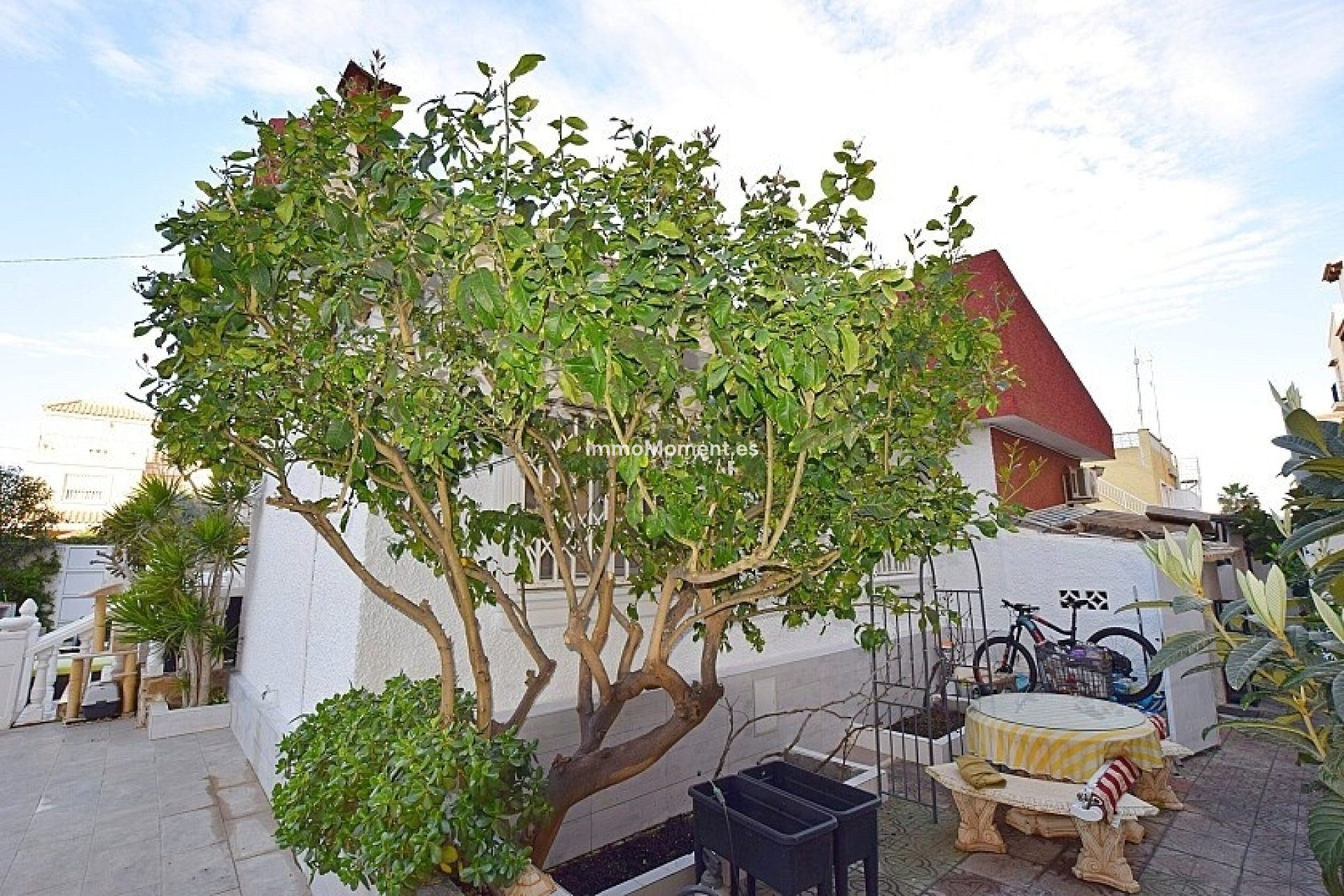 Wiederverkauf - Freistehende Villa - Torrevieja - Torrevieja Centro
