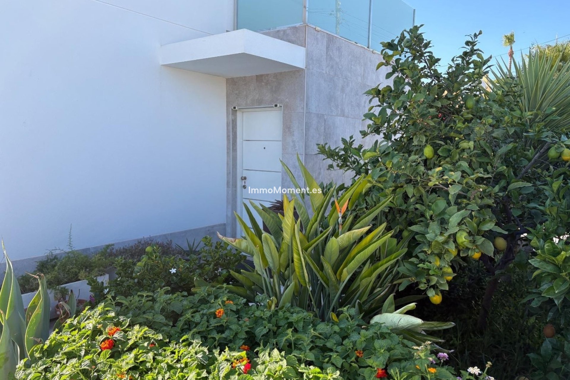 Wiederverkauf - Freistehende Villa - Torrevieja - Torrevieja Centro