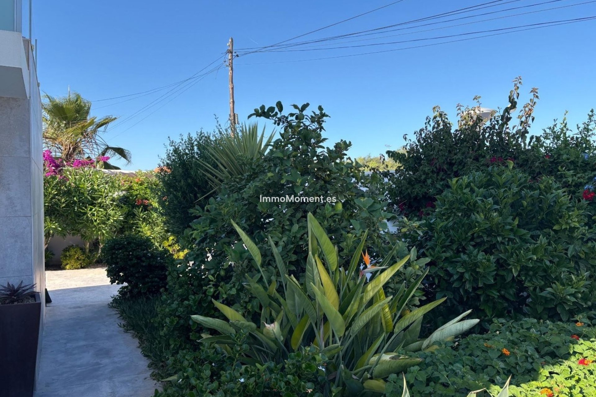 Wiederverkauf - Freistehende Villa - Torrevieja - Torrevieja Centro