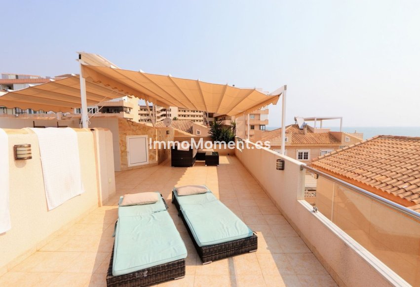 Wiederverkauf - Freistehende Villa - Torrevieja - Torrevieja Centro