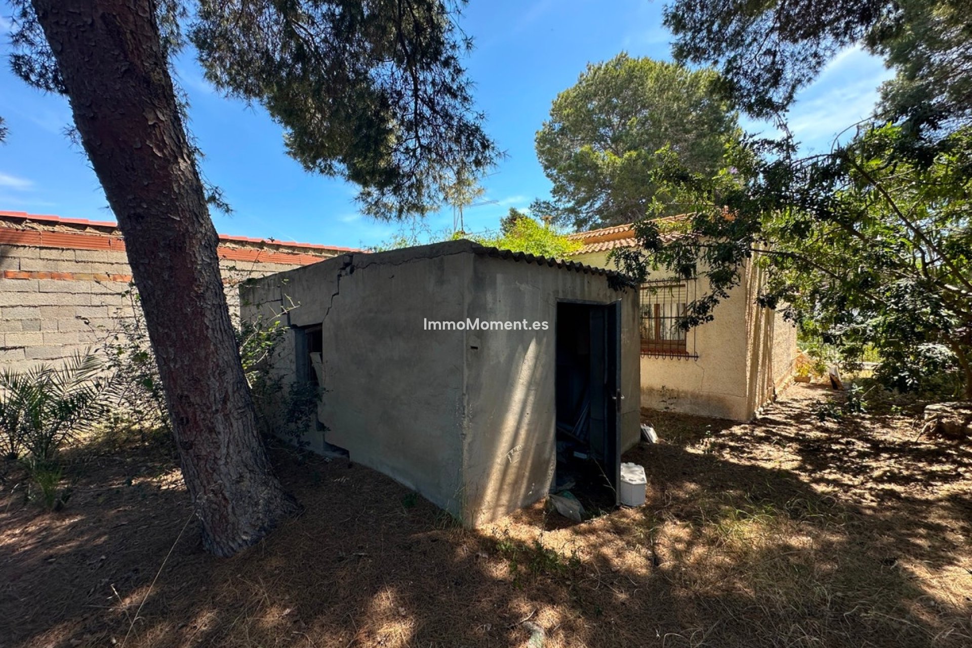 Wiederverkauf - Freistehende Villa - Torrevieja - Torrevieja Centro