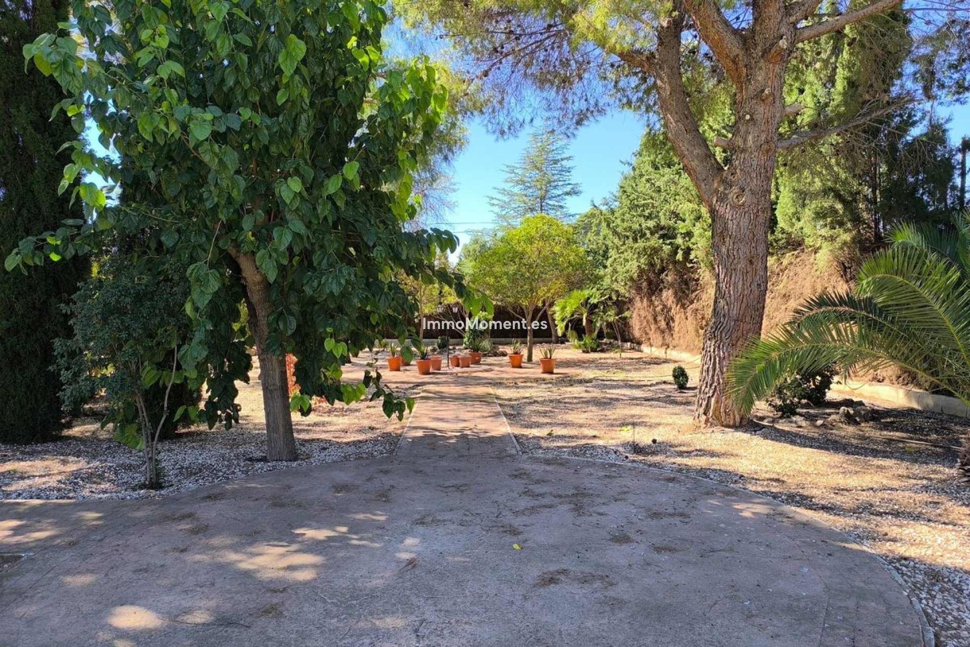 Wiederverkauf - Freistehende Villa - Yecla - Yecla Centro