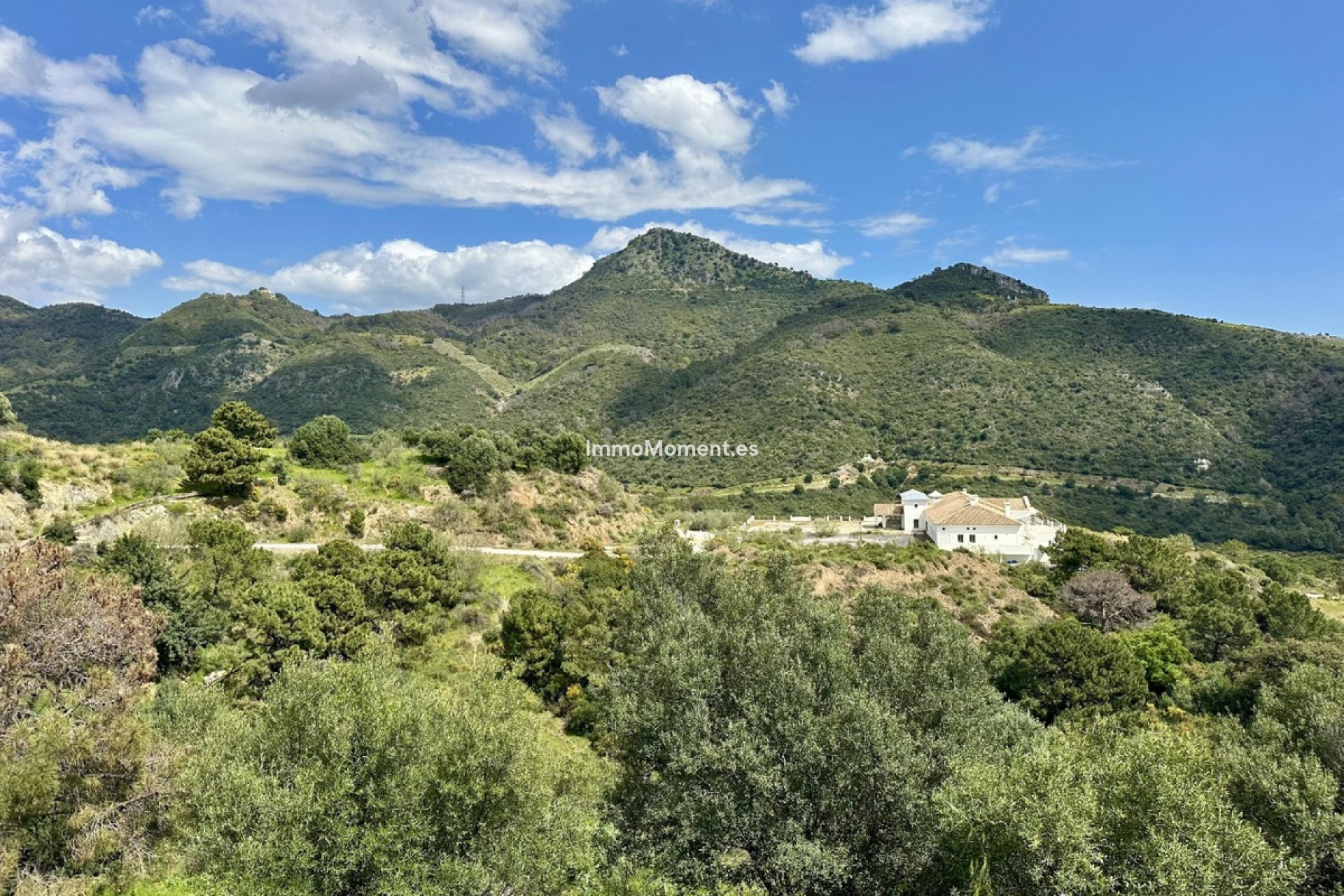 Wiederverkauf - Grundstück - Benahavís - Benahavís Centro