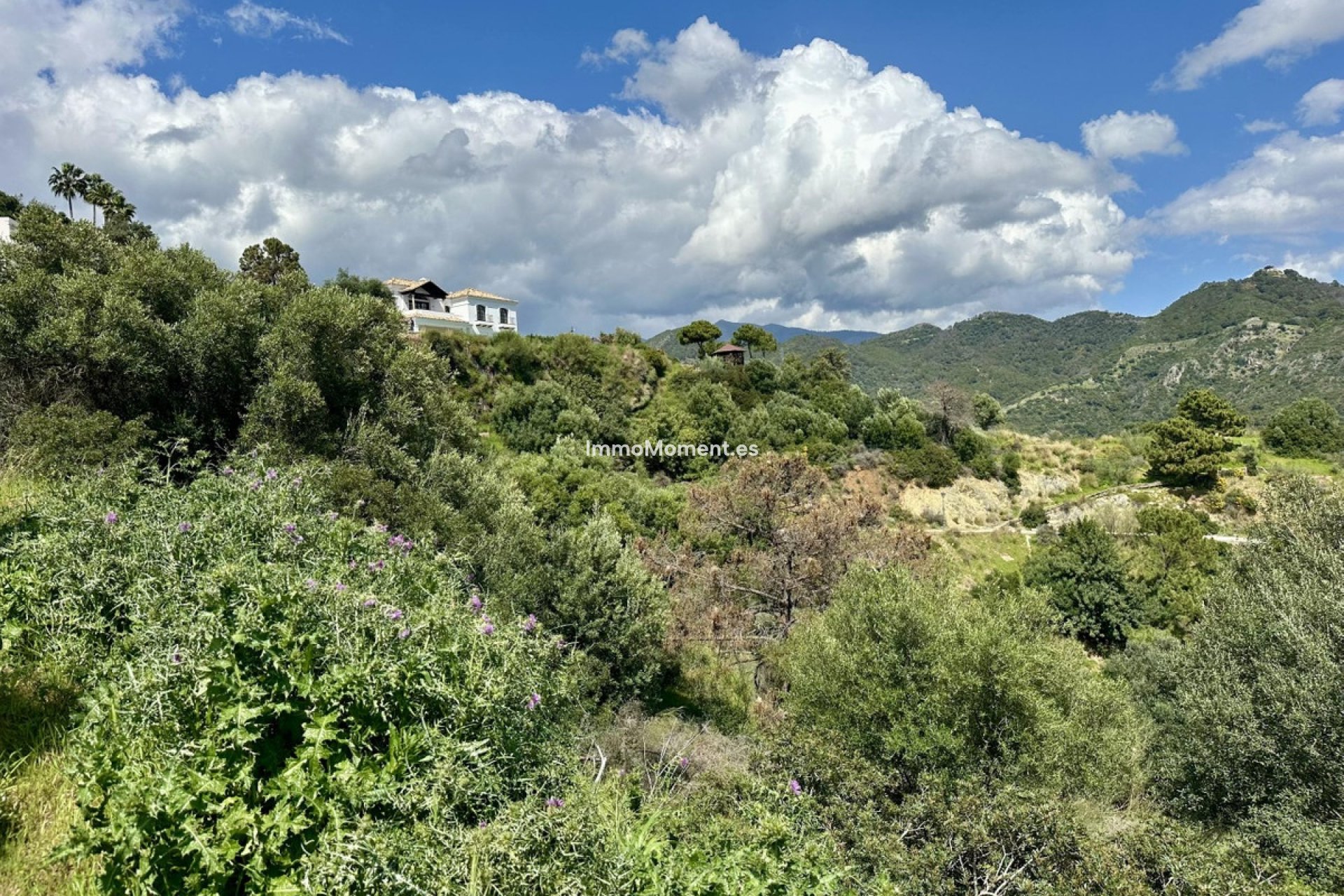 Wiederverkauf - Grundstück - Benahavís - Benahavís Centro