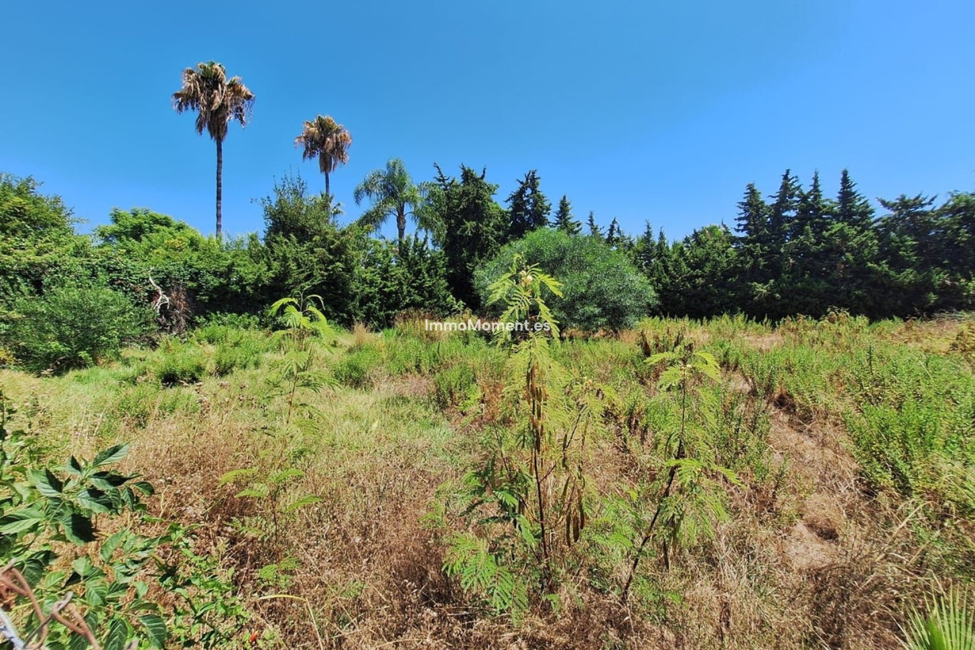 Wiederverkauf - Grundstück - Estepona  - Atalaya