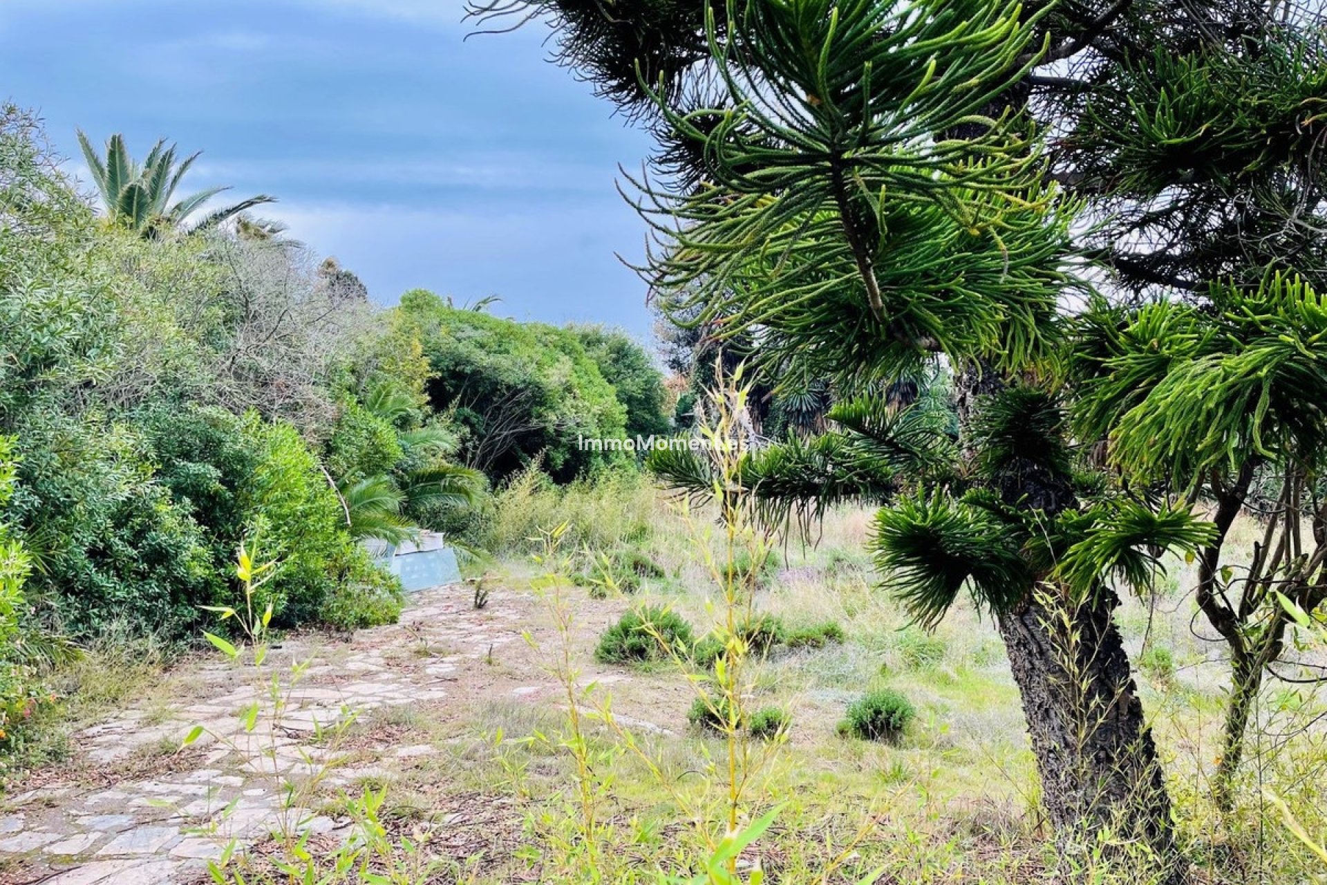 Wiederverkauf - Grundstück - Estepona  - Estepona Centro