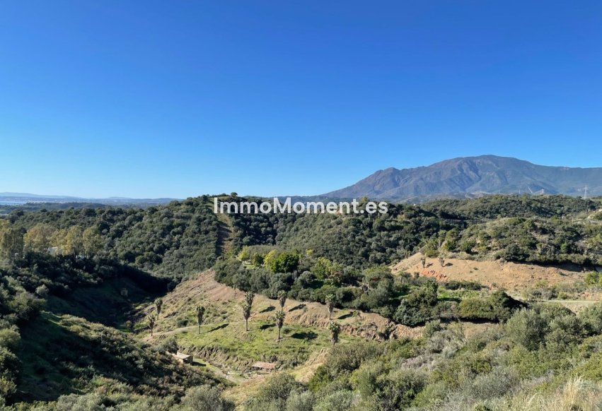 Wiederverkauf - Grundstück - Estepona  - Selwo