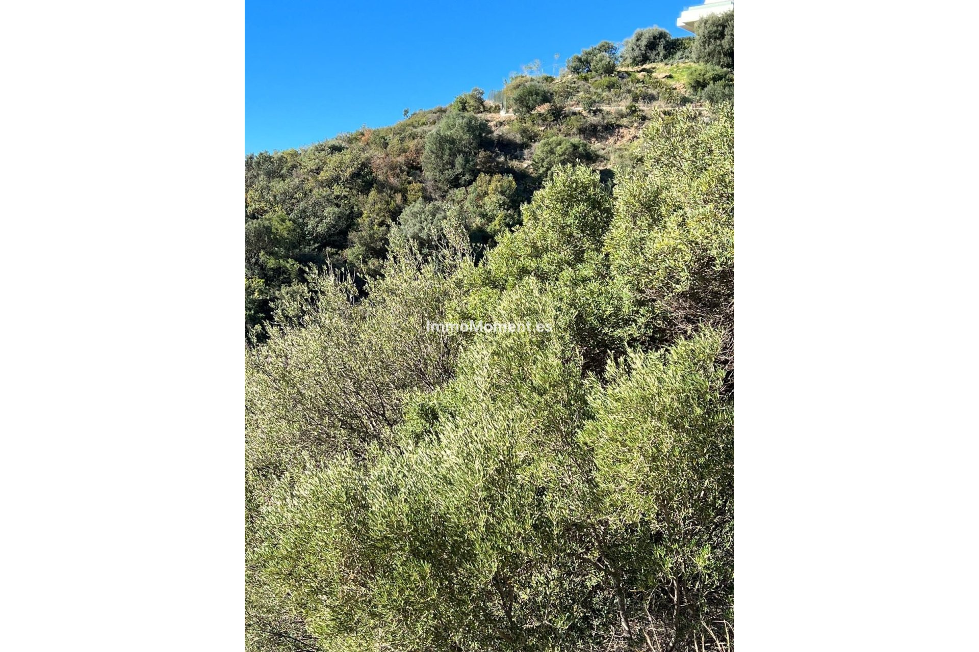 Wiederverkauf - Grundstück - Marbella - Altos de los Monteros