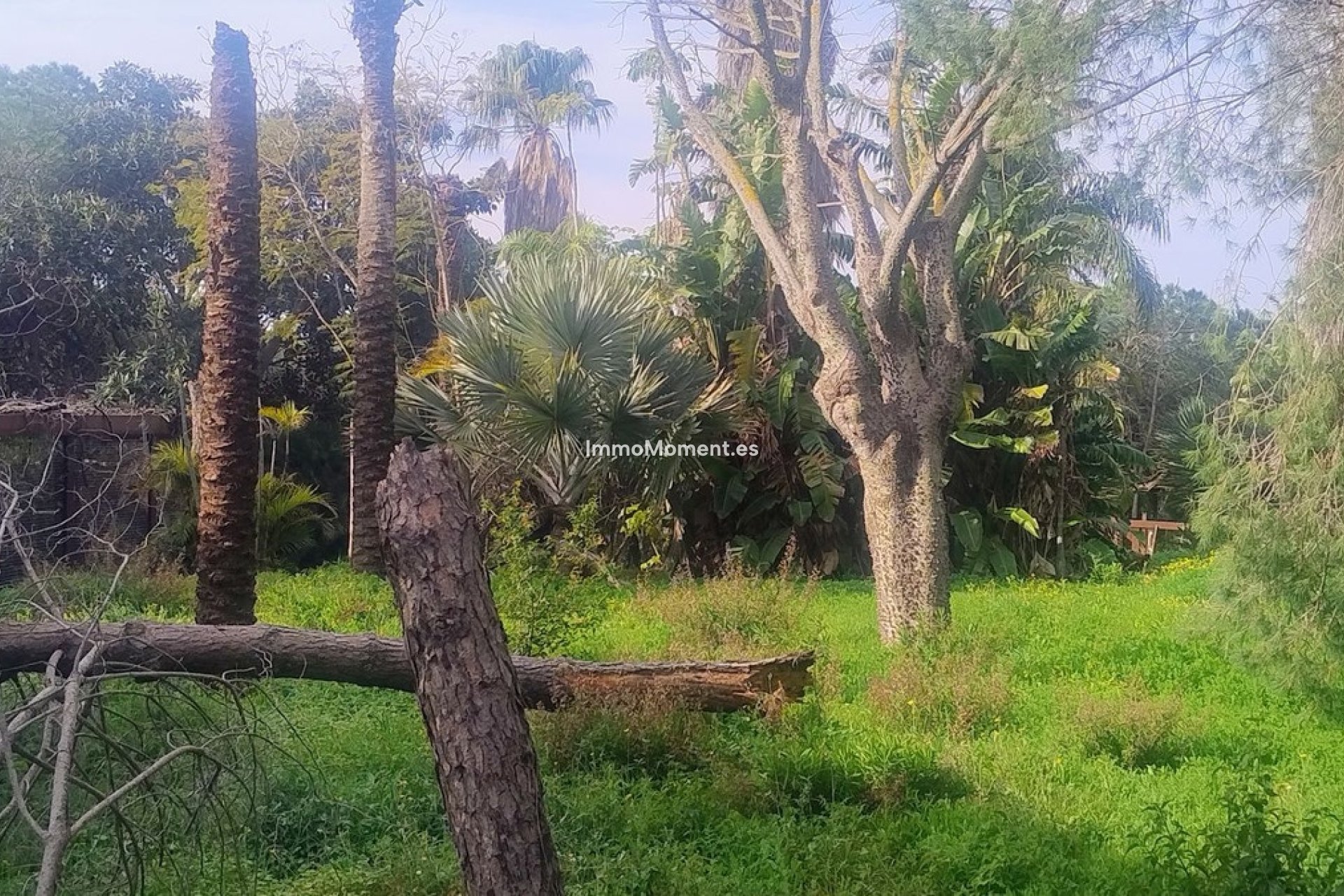 Wiederverkauf - Grundstück - Marbella - Hacienda Las Chapas