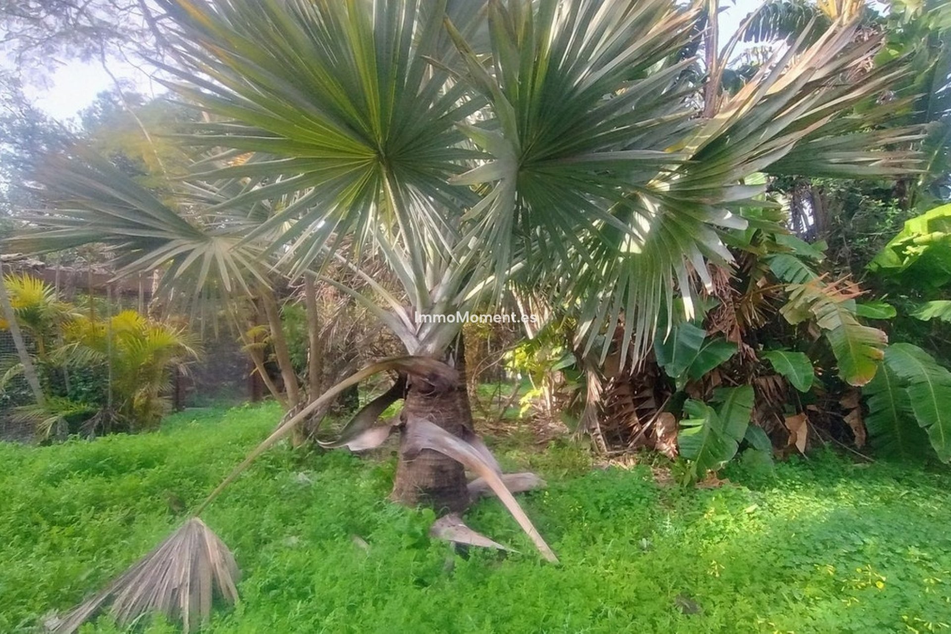 Wiederverkauf - Grundstück - Marbella - Hacienda Las Chapas