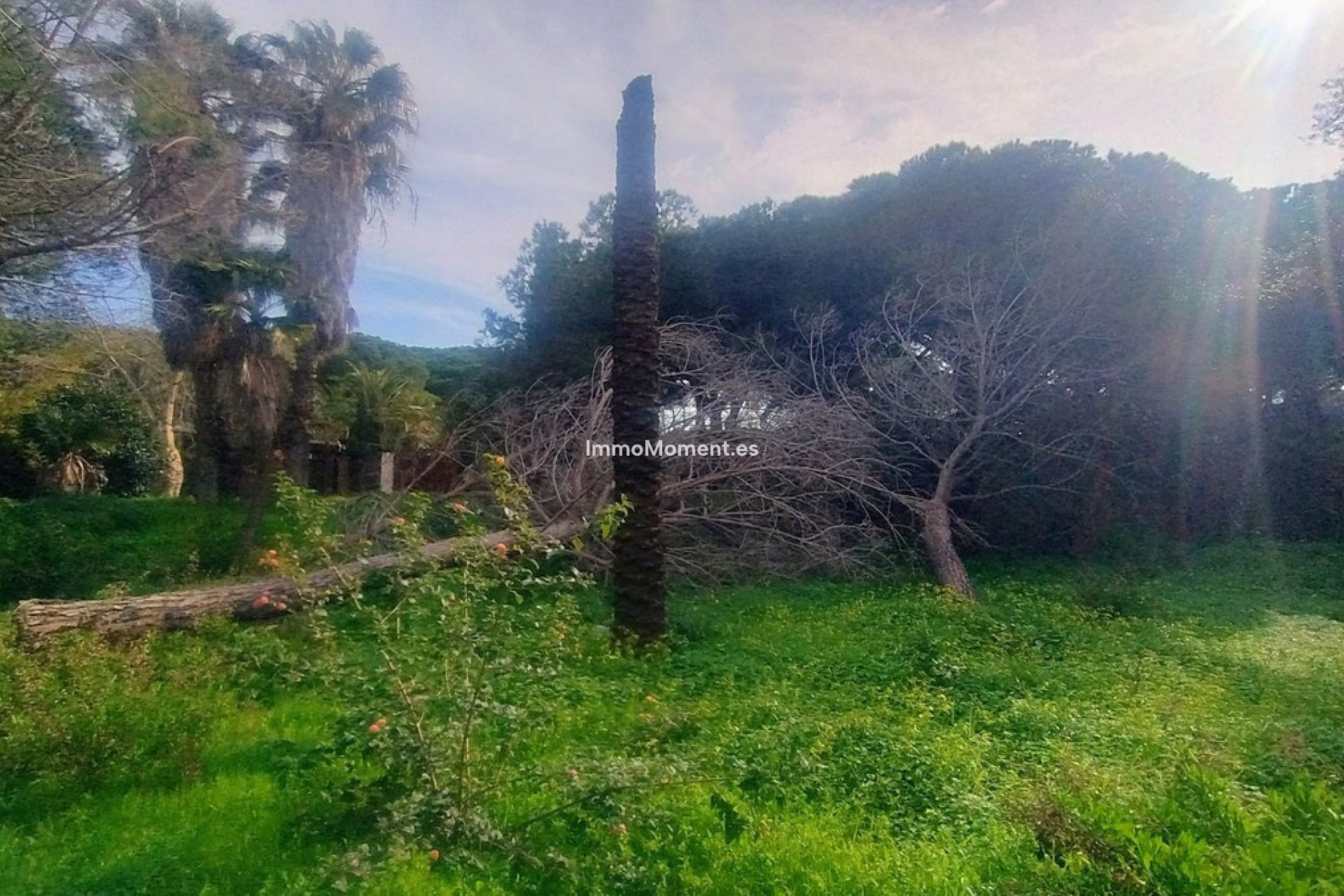 Wiederverkauf - Grundstück - Marbella - Hacienda Las Chapas
