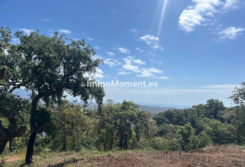 Wiederverkauf - Grundstück - Marbella - La Mairena
