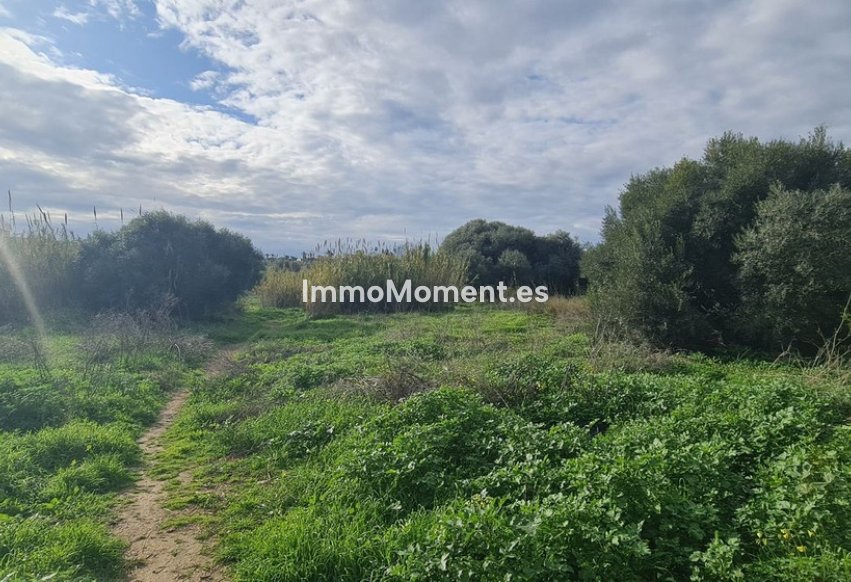 Wiederverkauf - Grundstück - Mijas - Campo Mijas