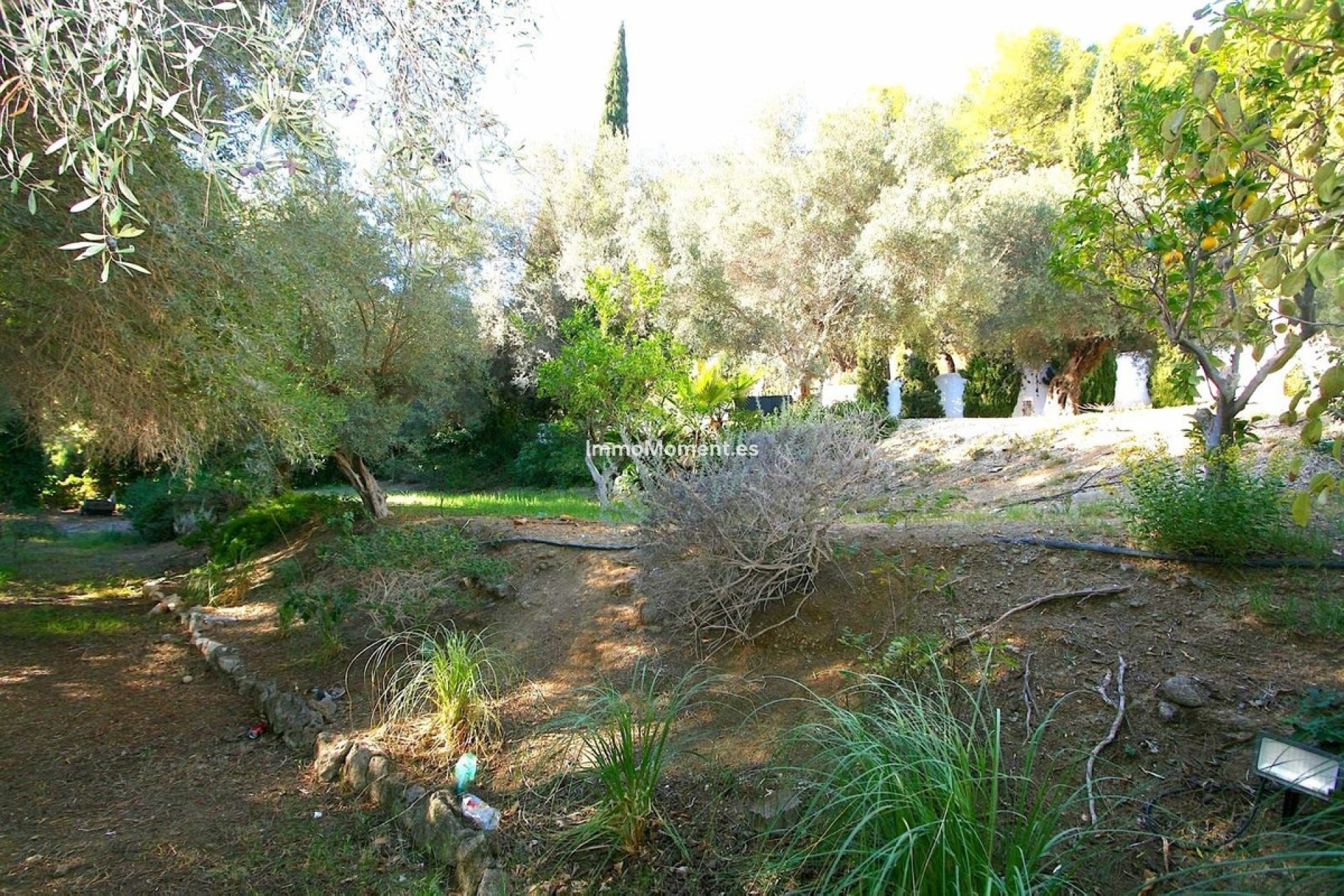 Wiederverkauf - Grundstück - Mijas - Mijas Centro