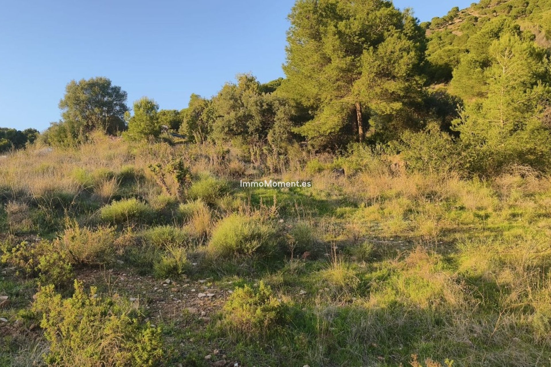 Wiederverkauf - Grundstück - Mijas - Mijas Centro