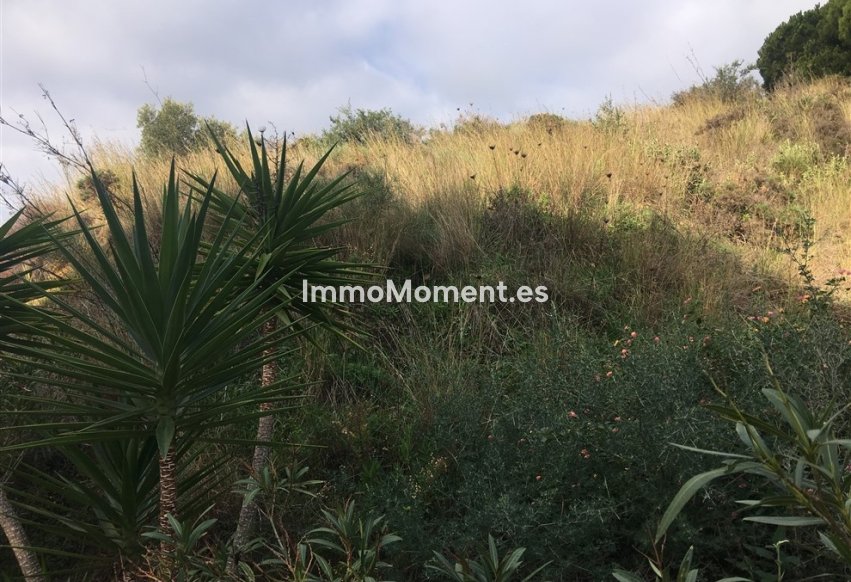 Wiederverkauf - Grundstück - Mijas - Mijas Centro