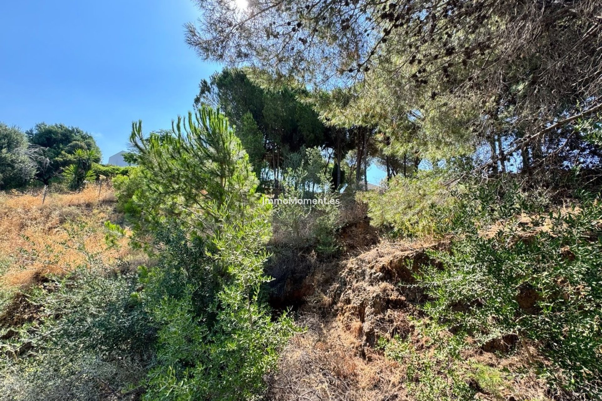 Wiederverkauf - Grundstück - Mijas - Valtocado