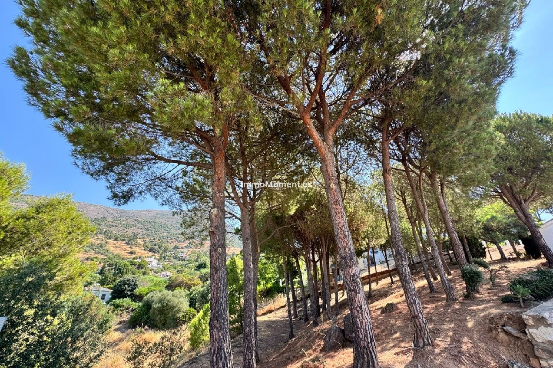 Wiederverkauf - Grundstück - Mijas - Valtocado