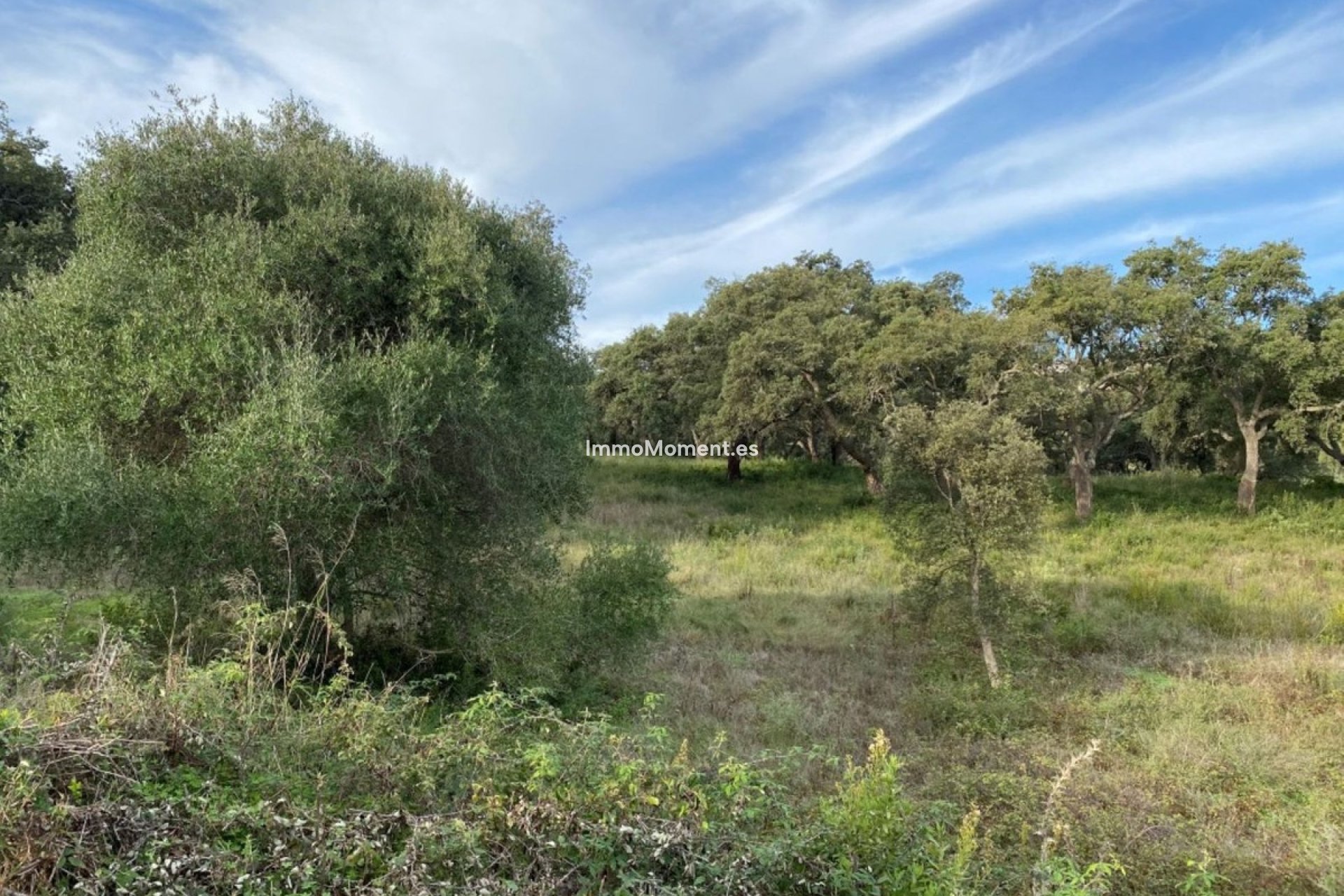 Wiederverkauf - Grundstück - Sotogrande - San Roque Club