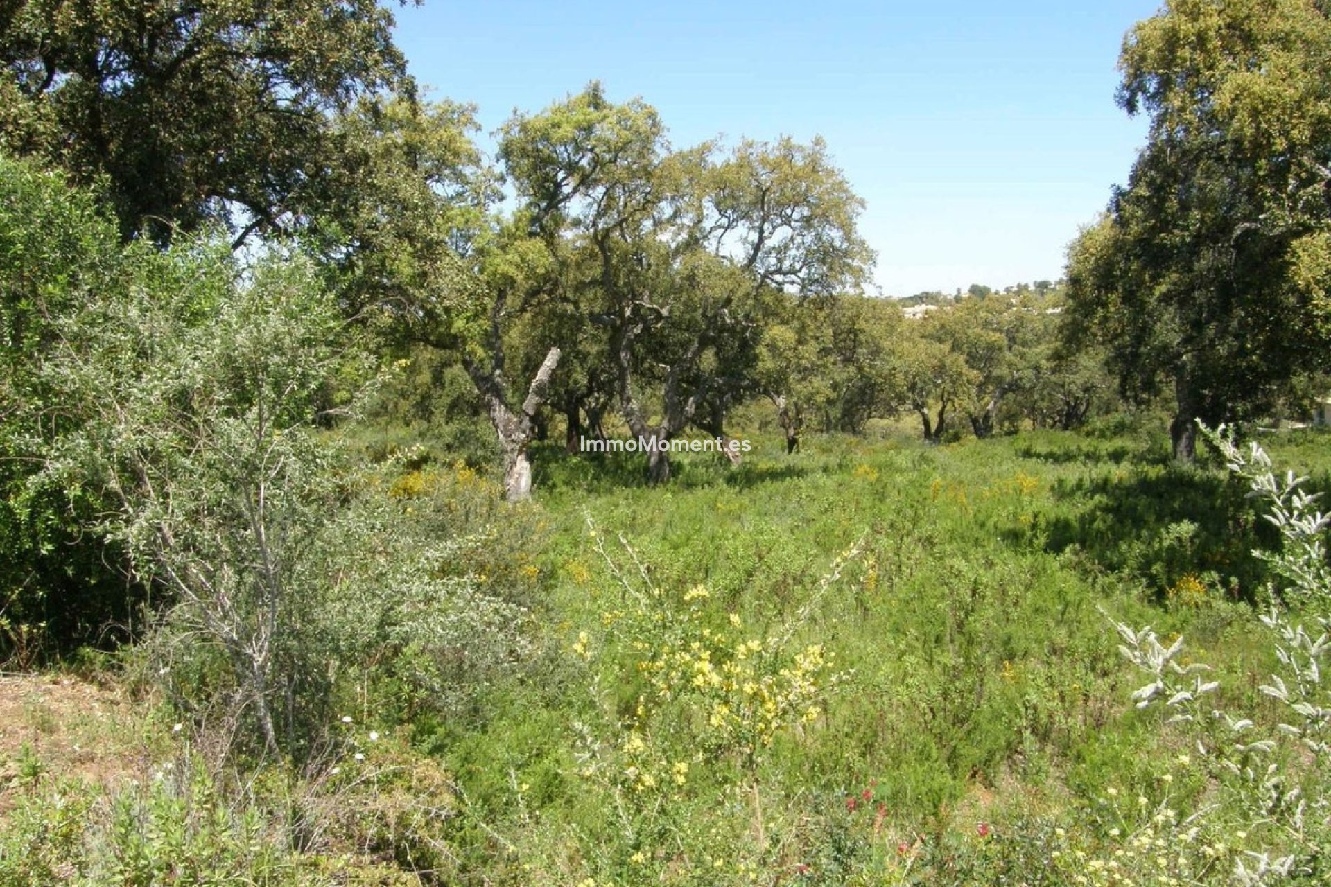 Wiederverkauf - Grundstück - Sotogrande - San Roque Club