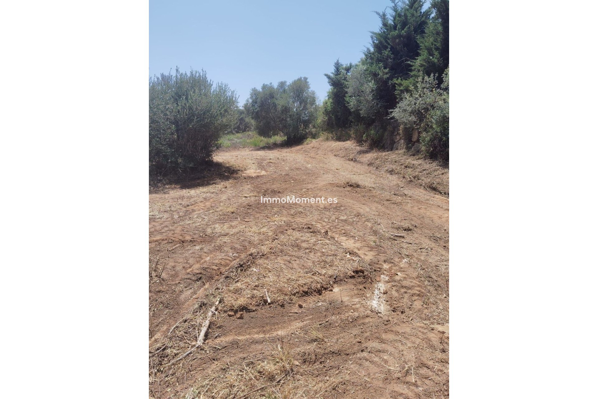 Wiederverkauf - Grundstück - Sotogrande - Sotogrande Alto