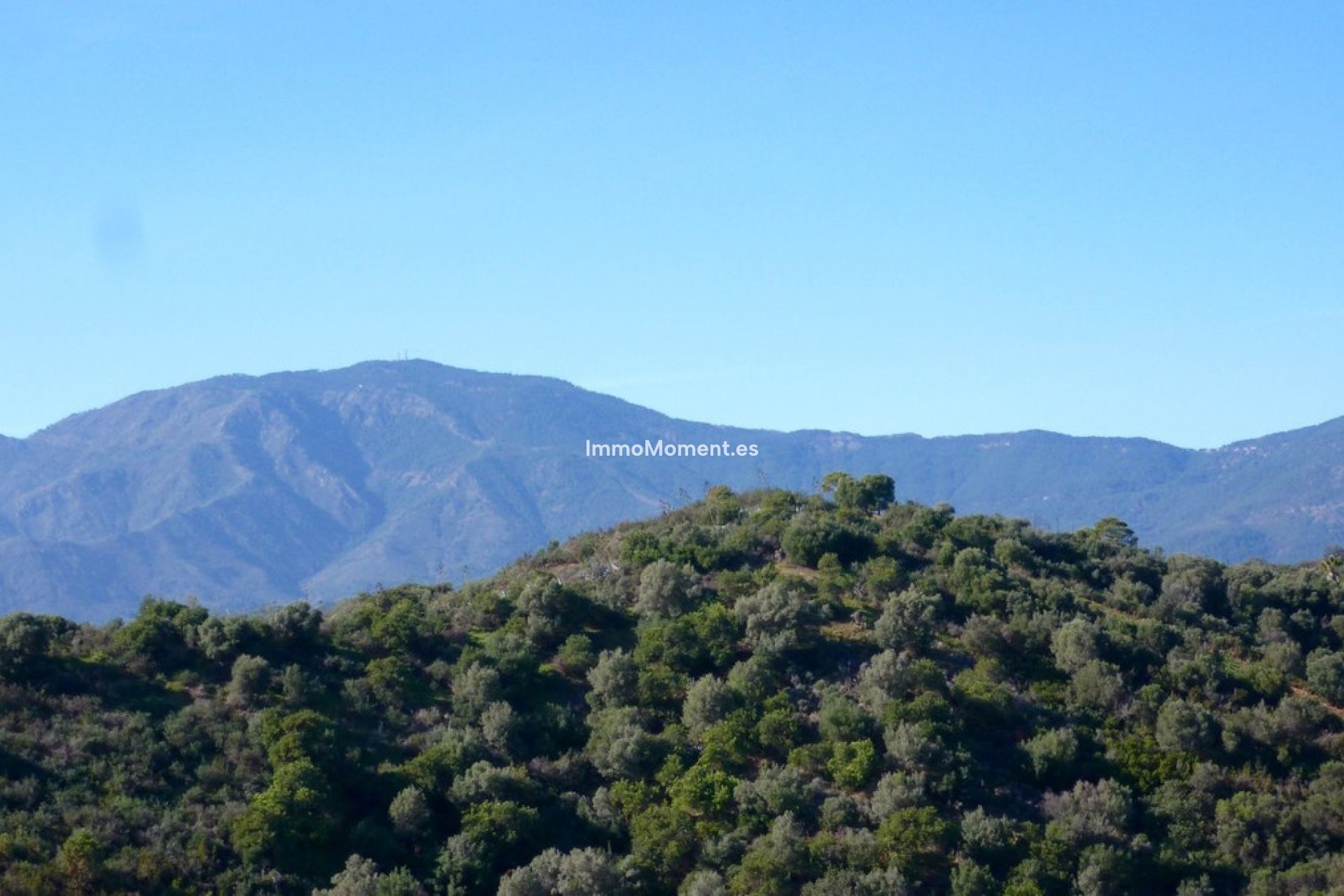 Wiederverkauf - Land - Estepona  - Selwo