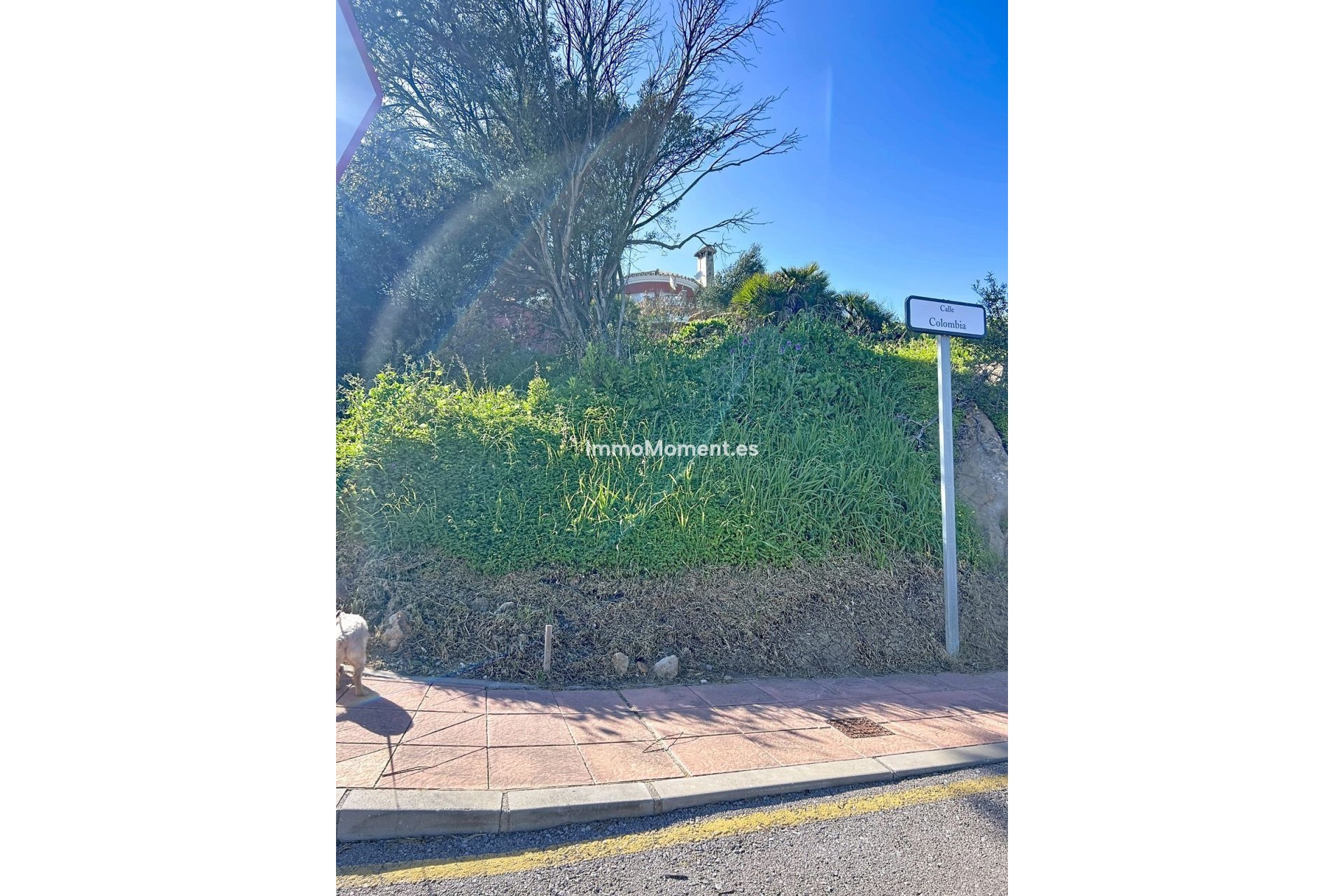 Wiederverkauf - Land - Estepona  - Valle Romano